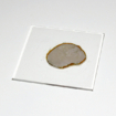 00-IMG_7666